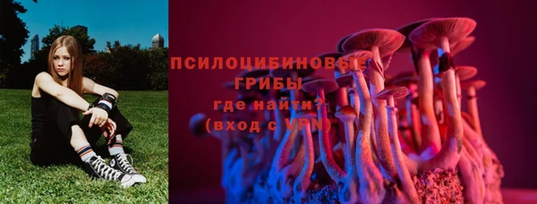 метадон Белокуриха