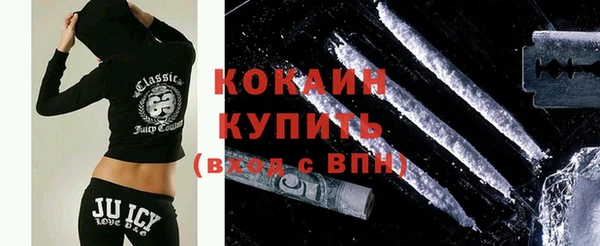 шишки Белоозёрский
