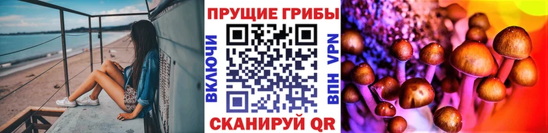 Галлюциногенные грибы Psilocybine cubensis  Купить закладки  Сатка 